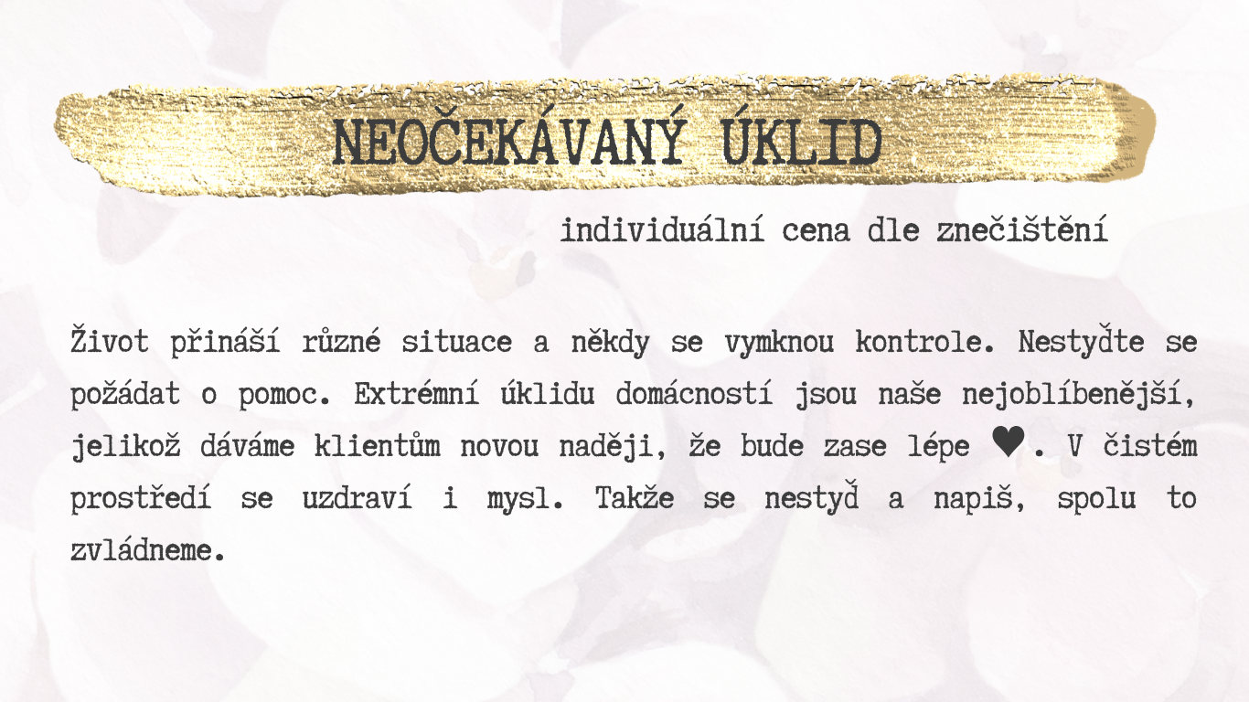 baner web (Web) (25)